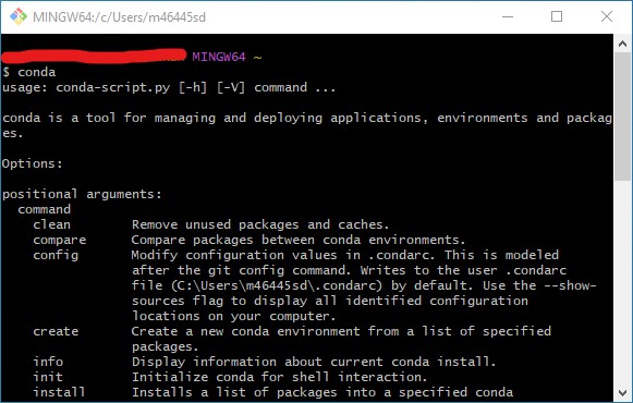 ../_images/git-bash-conda-check.jpg